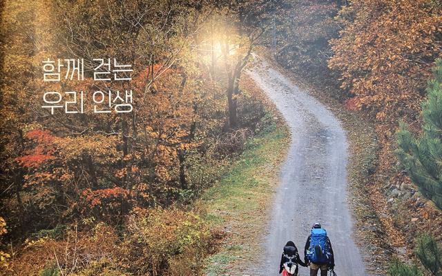 리뷰 대표 이미지