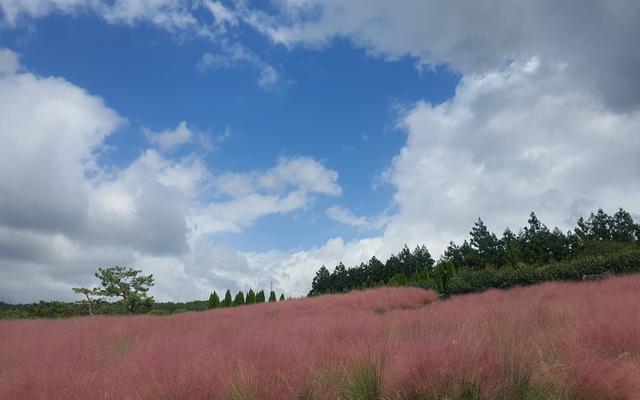 리뷰 대표 이미지