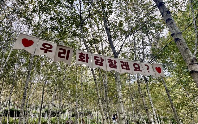 리뷰 대표 이미지