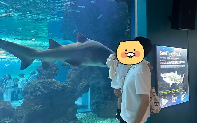 리뷰 대표 이미지