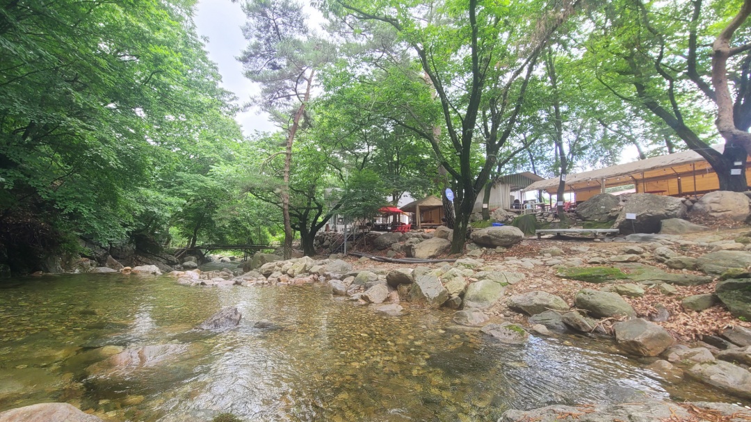 https://yaimg.yanolja.com/v5/2025/10/24/02/68fae114a6b931.90819167.jpg