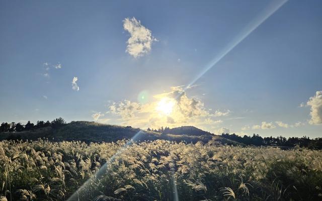 리뷰 대표 이미지