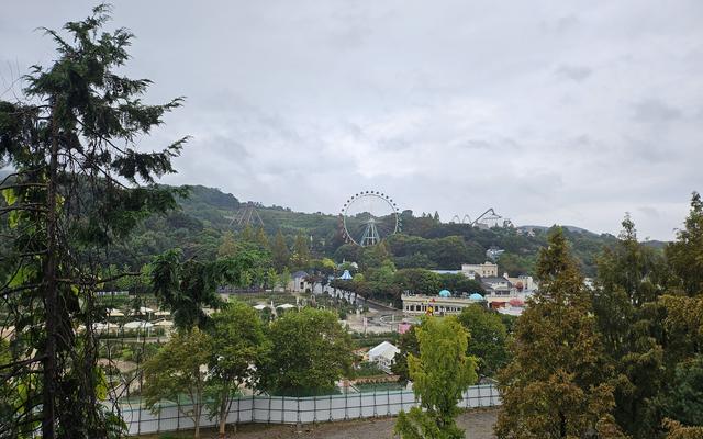 리뷰 대표 이미지