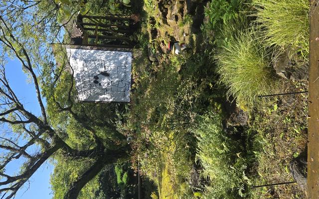 리뷰 대표 이미지