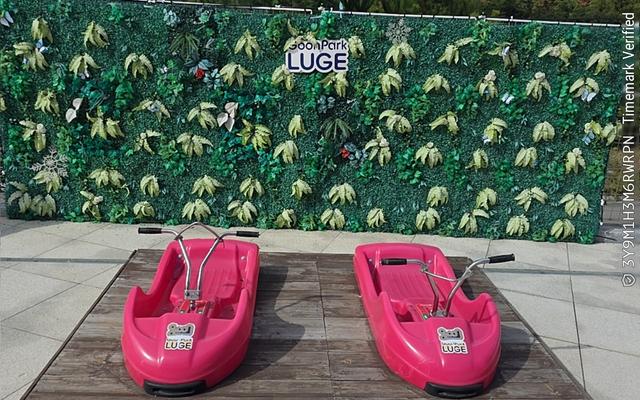 리뷰 대표 이미지