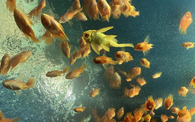 리뷰 대표 이미지