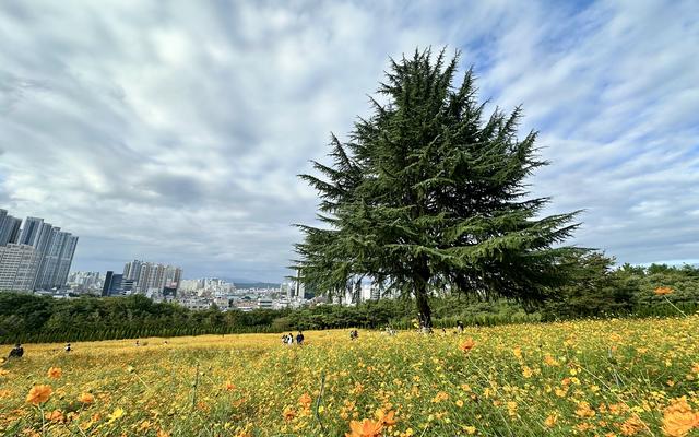 리뷰 대표 이미지