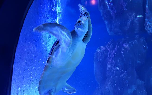 리뷰 대표 이미지