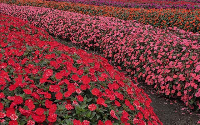 리뷰 대표 이미지