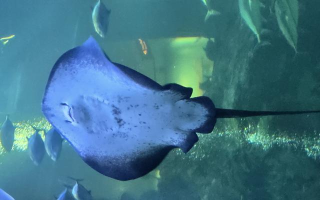 리뷰 대표 이미지