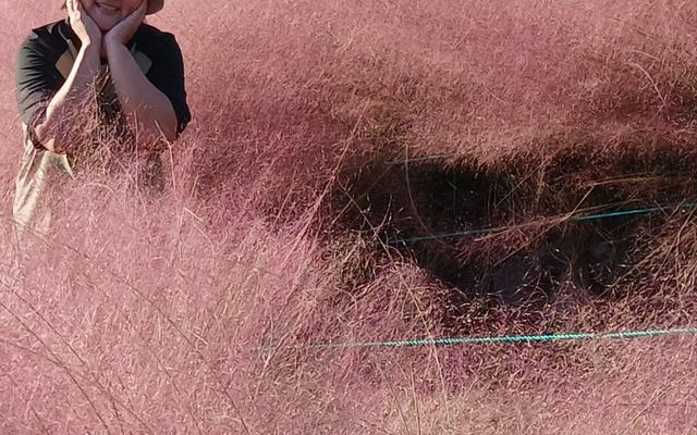 리뷰 대표 이미지