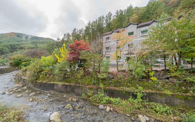 태백 더 팰리스 호텔