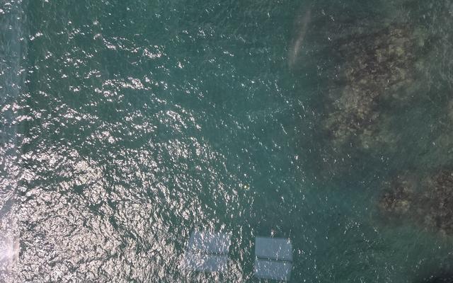 리뷰 대표 이미지