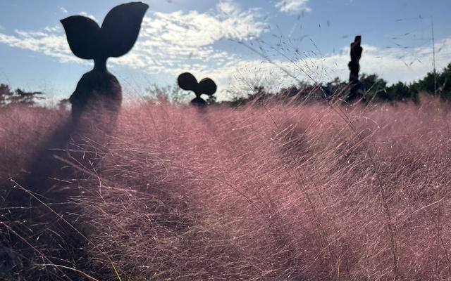 리뷰 대표 이미지