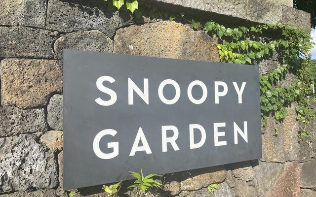 리뷰 대표 이미지