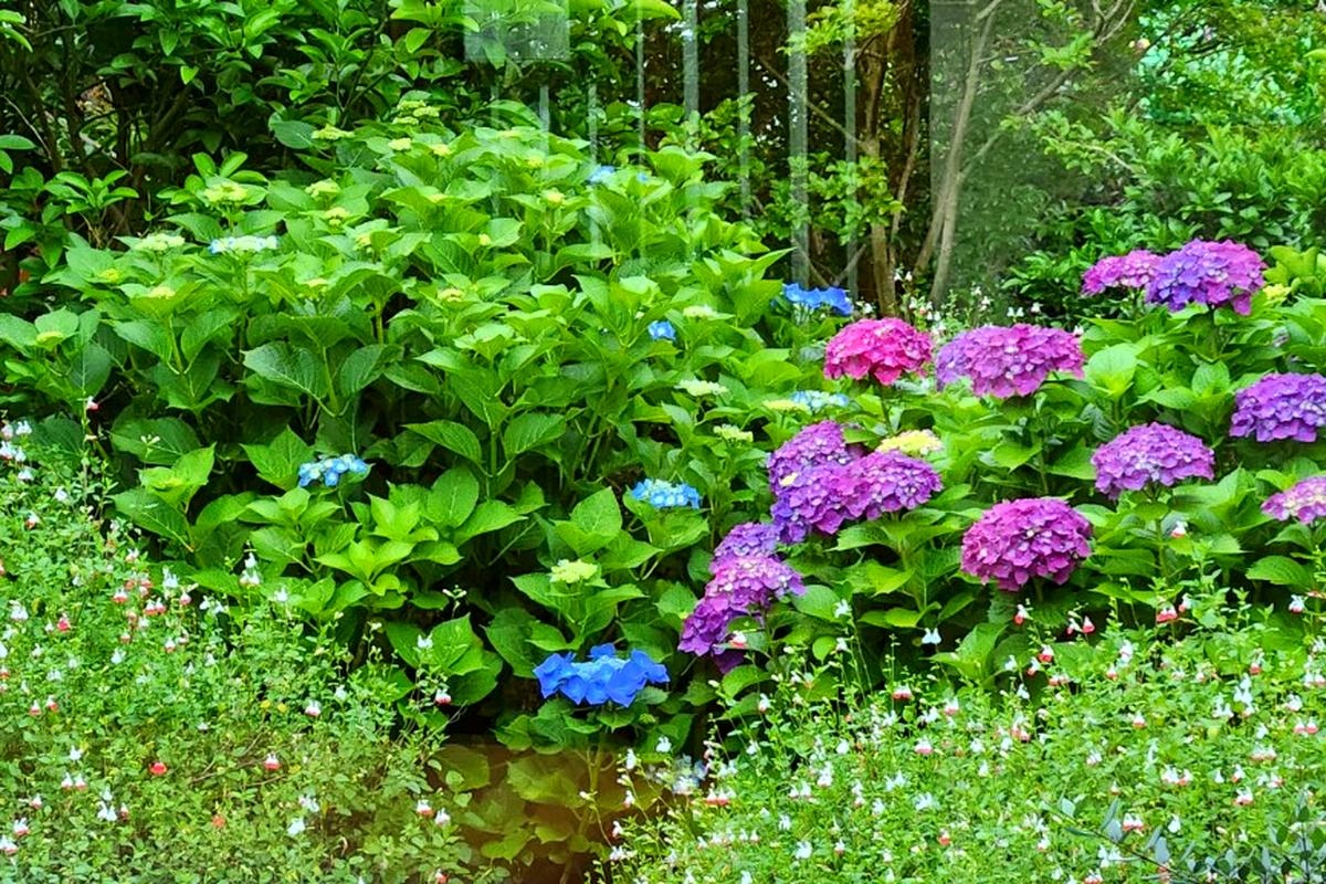 서귀포 삼달가옥감성숙소 이미지 6