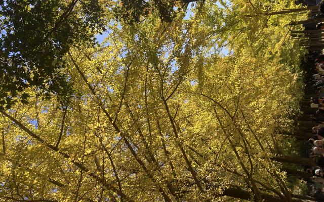 리뷰 대표 이미지