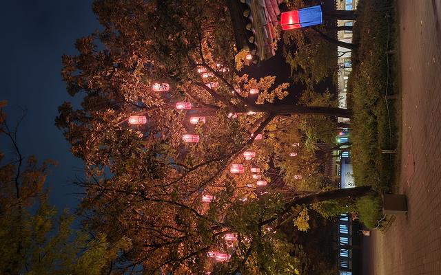 리뷰 대표 이미지