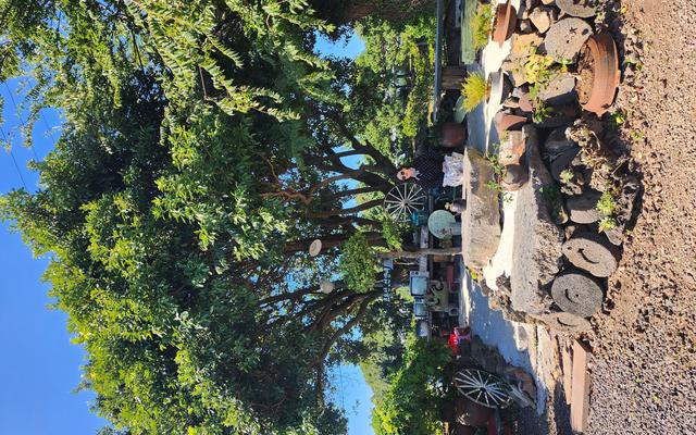 리뷰 대표 이미지