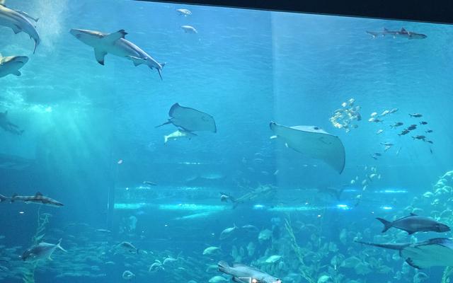 리뷰 대표 이미지