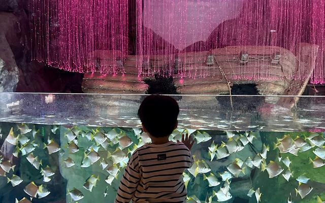 리뷰 대표 이미지