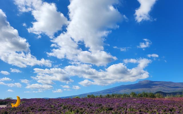 리뷰 대표 이미지