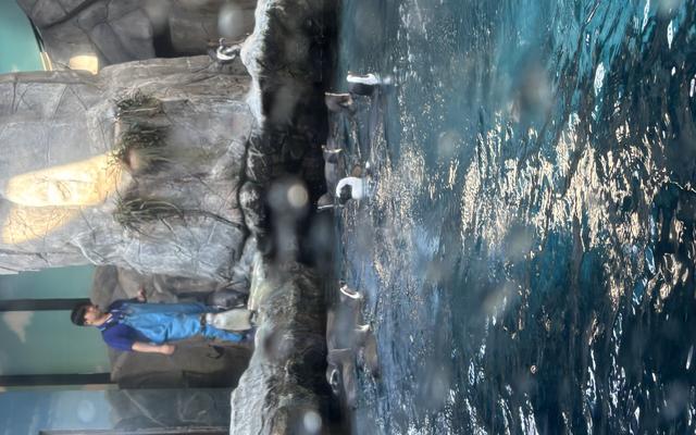 리뷰 대표 이미지