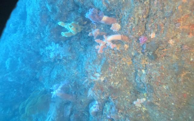 리뷰 대표 이미지