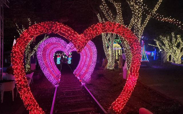 리뷰 대표 이미지