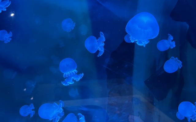 리뷰 대표 이미지