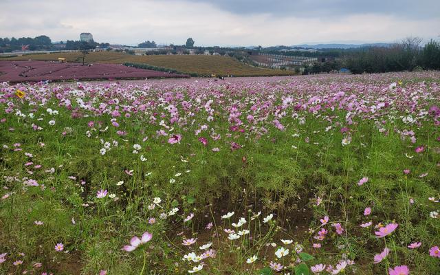 리뷰 대표 이미지