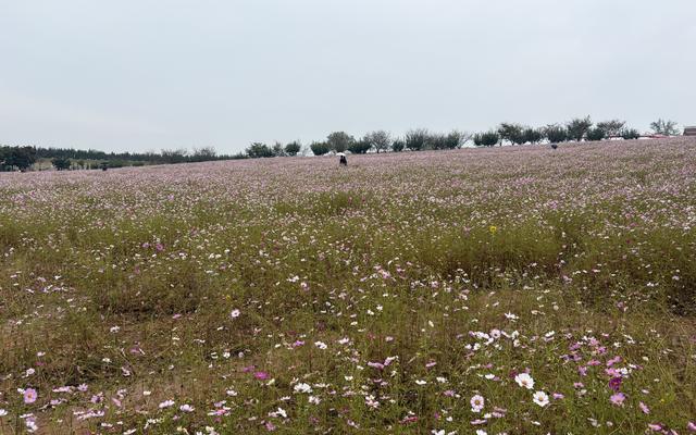 리뷰 대표 이미지