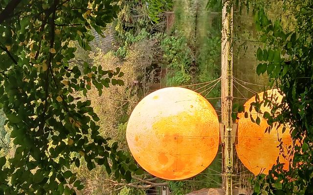 리뷰 대표 이미지