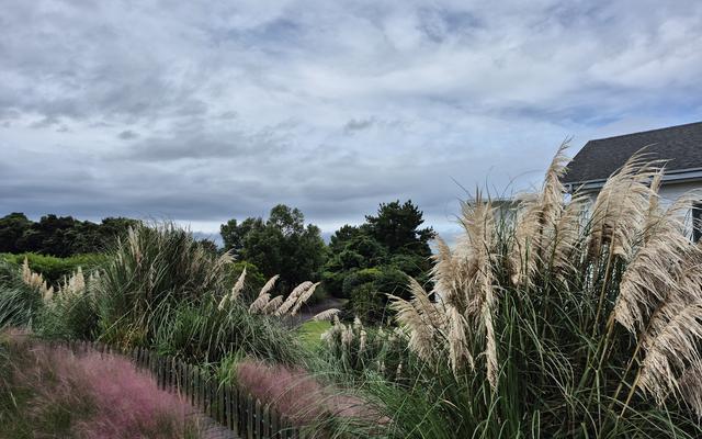 리뷰 대표 이미지