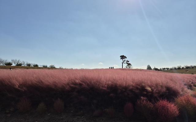 리뷰 대표 이미지