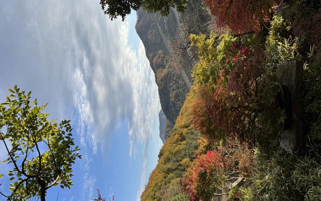 리뷰 대표 이미지