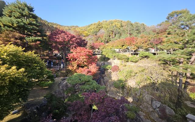 리뷰 대표 이미지