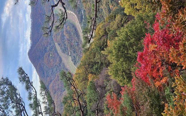 리뷰 대표 이미지