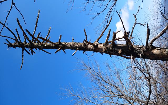 리뷰 대표 이미지