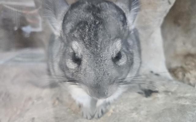 리뷰 대표 이미지