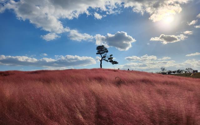 리뷰 대표 이미지