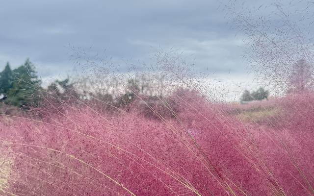 리뷰 대표 이미지