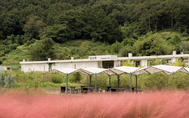 보은 일상화 글램핑