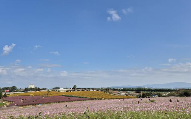 리뷰 대표 이미지