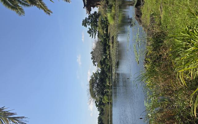 리뷰 대표 이미지