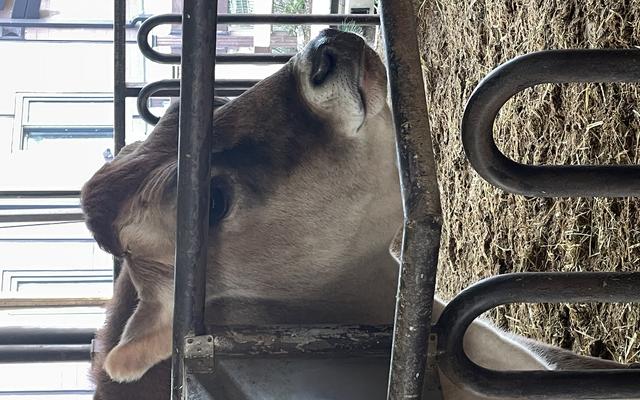 리뷰 대표 이미지