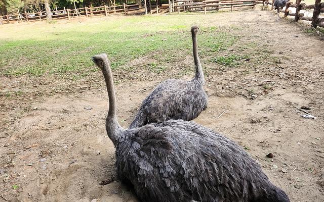 리뷰 대표 이미지