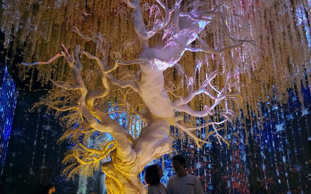 리뷰 대표 이미지