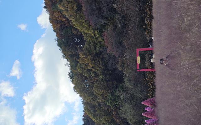 리뷰 대표 이미지