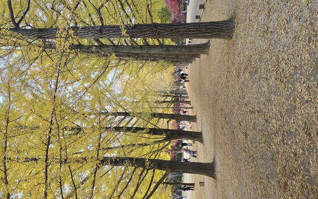 리뷰 대표 이미지